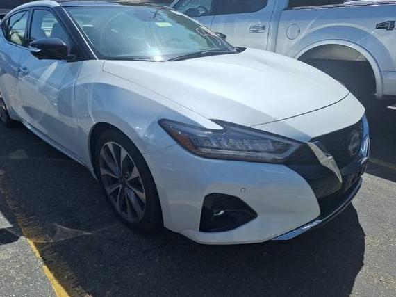NISSAN MAXIMA 2023 1N4AA6FV8PC504866 image