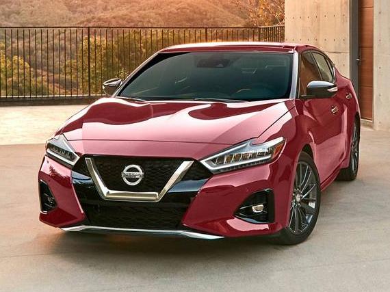NISSAN MAXIMA 2023 1N4AA6CV7PC510923 image