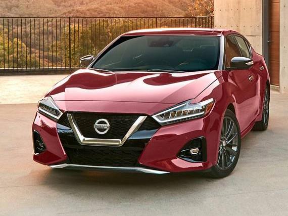 NISSAN MAXIMA 2023 1N4AA6EV0PC501087 image