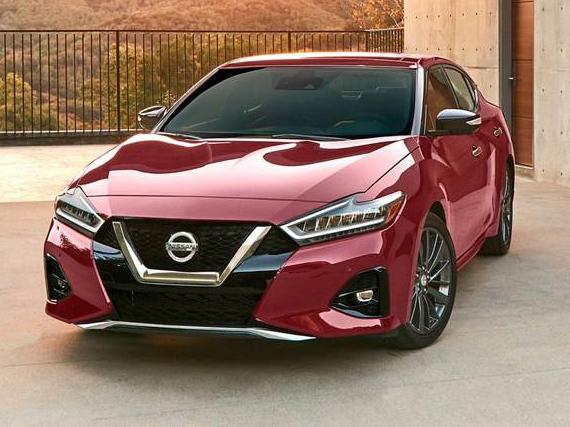 NISSAN MAXIMA 2023 1N4AA6FV2PC501462 image