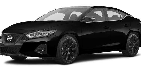 NISSAN MAXIMA 2023 1N4AA6EV1PC506248 image