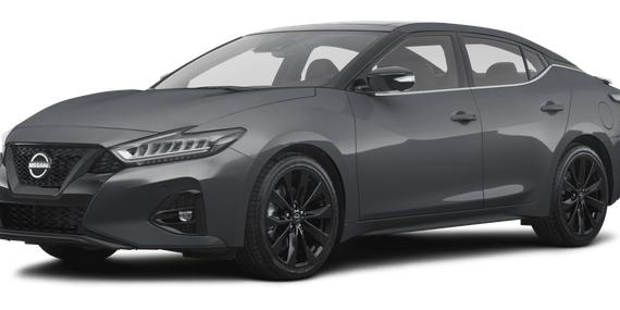 NISSAN MAXIMA 2023 1N4AA6EV1PC503320 image