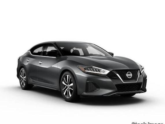 NISSAN MAXIMA 2023 1N4AA6CV8PC503687 image