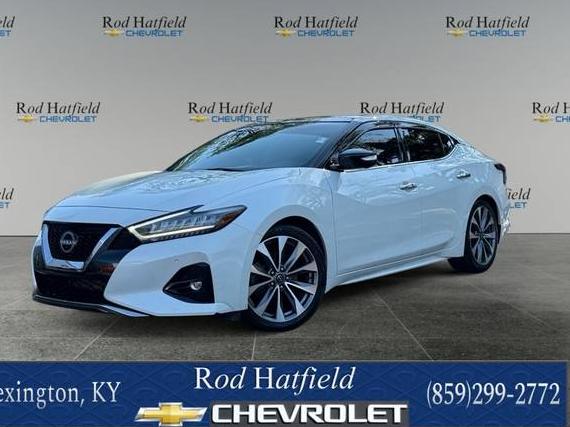 NISSAN MAXIMA 2023 1N4AA6FV1PC503929 image