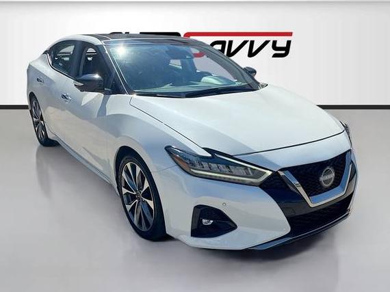NISSAN MAXIMA 2023 1N4AA6FV5PC505862 image