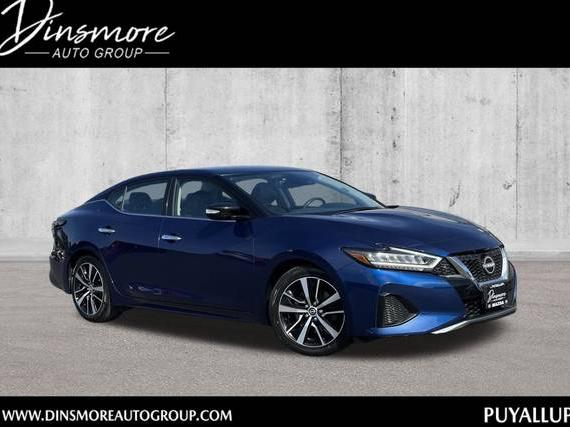 NISSAN MAXIMA 2023 1N4AA6CV4PC511740 image