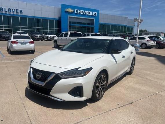 NISSAN MAXIMA 2023 1N4AA6CV2PC503829 image