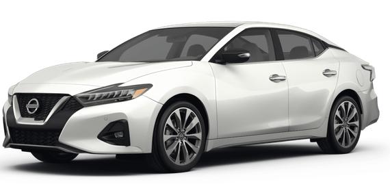 NISSAN MAXIMA 2023 1N4AA6FV0PC503517 image