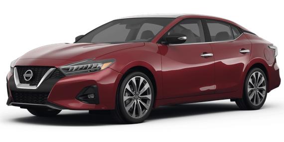 NISSAN MAXIMA 2023 1N4AA6FV9PC501281 image