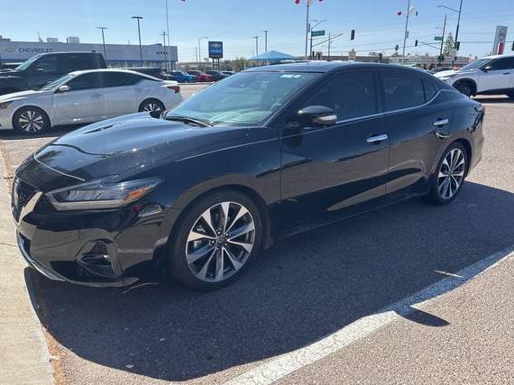 NISSAN MAXIMA 2023 1N4AA6FV2PC504362 image