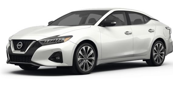 NISSAN MAXIMA 2023 1N4AA6FV1PC513926 image