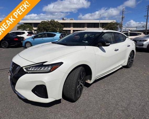 NISSAN MAXIMA 2023 1N4AA6CV4PC512046 image