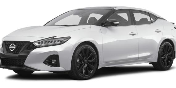 NISSAN MAXIMA 2023 1N4AA6EV5PC506690 image