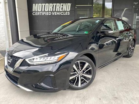 NISSAN MAXIMA 2023 1N4AA6CVXPC510902 image