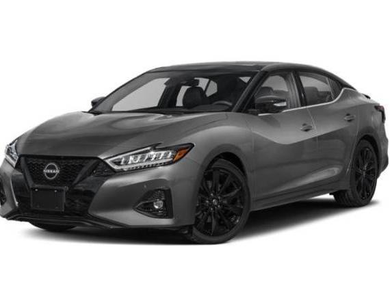 NISSAN MAXIMA 2023 1N4AA6EV9PC501072 image