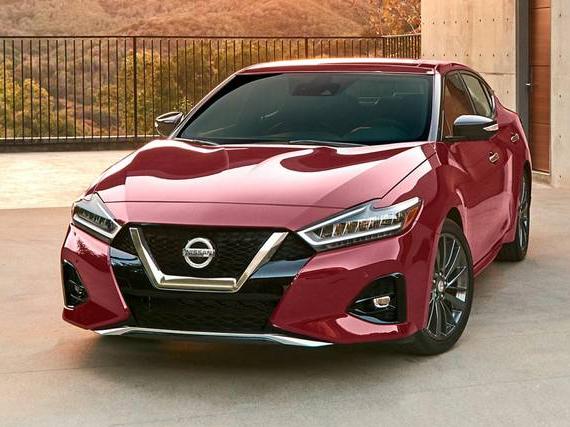 NISSAN MAXIMA 2023 1N4AA6CV8PC509327 image