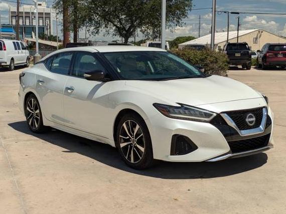 NISSAN MAXIMA 2023 1N4AA6CV4PC511141 image