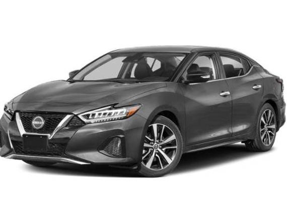 NISSAN MAXIMA 2023 1N4AA6CV2PC511719 image
