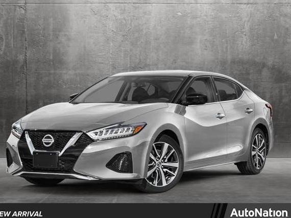 NISSAN MAXIMA 2023 1N4AA6CV2PC509159 image