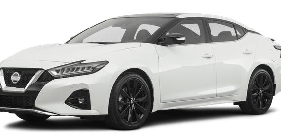 NISSAN MAXIMA 2023 1N4AA6CV7PC511618 image