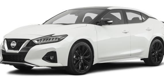 NISSAN MAXIMA 2023 1N4AA6CV2PC511980 image