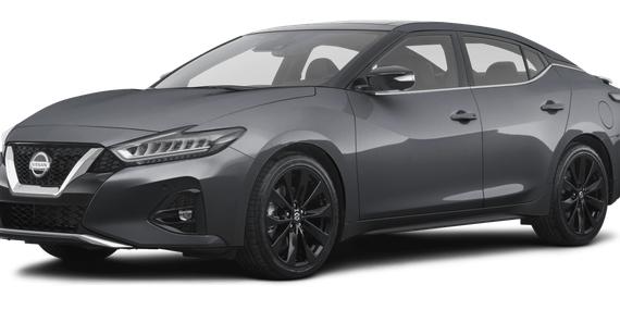 NISSAN MAXIMA 2023 1N4AA6CVXPC508678 image