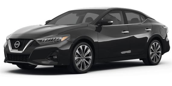 NISSAN MAXIMA 2023 1N4AA6FV1PC501128 image