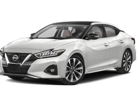 NISSAN MAXIMA 2023 1N4AA6FV1PC503798 image
