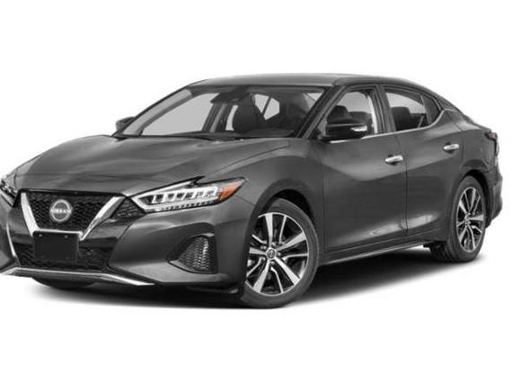 NISSAN MAXIMA 2023 1N4AA6CV6PC511416 image