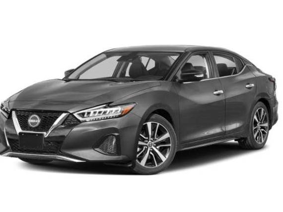 NISSAN MAXIMA 2023 1N4AA6CV5PC510175 image