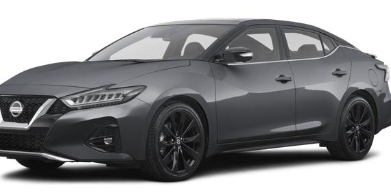 NISSAN MAXIMA 2023 1N4AA6CV1PC511078 image