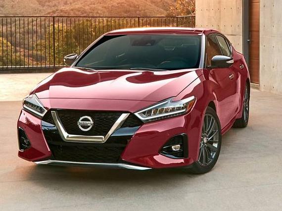 NISSAN MAXIMA 2023 1N4AA6CV3PC513320 image