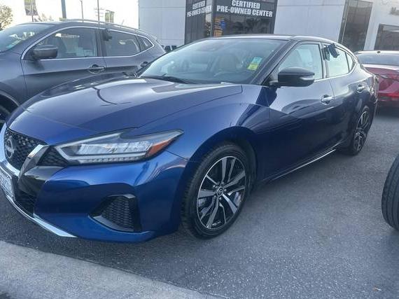 NISSAN MAXIMA 2023 1N4AA6CV7PC511442 image