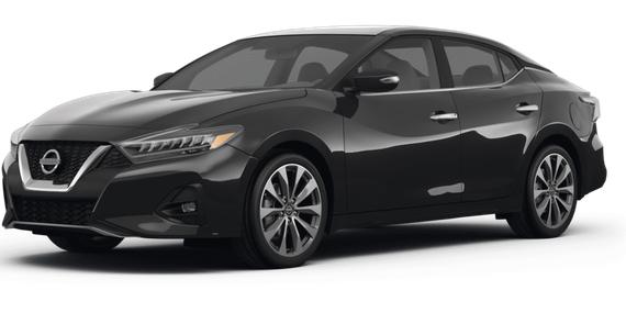 NISSAN MAXIMA 2023 1N4AA6FV0PC504411 image