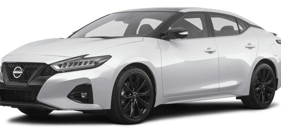 NISSAN MAXIMA 2023 1N4AA6EV3PC502072 image