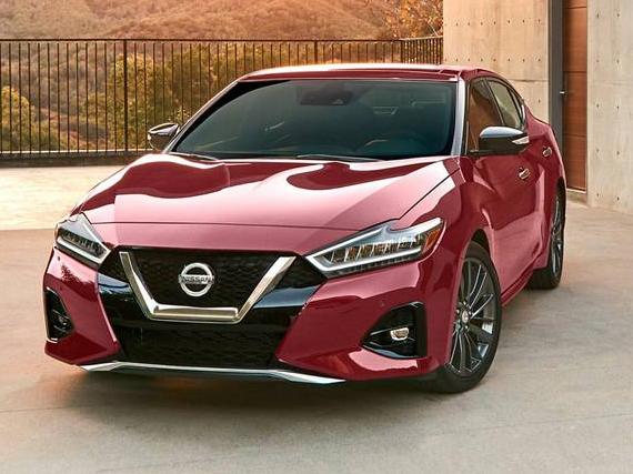 NISSAN MAXIMA 2023 1N4AA6FVXPC504514 image