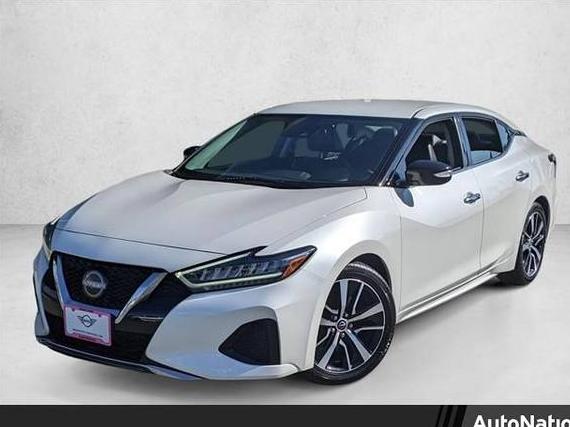 NISSAN MAXIMA 2023 1N4AA6CV2PC509243 image