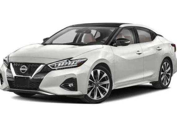 NISSAN MAXIMA 2023 1N4AA6FV7PC504969 image