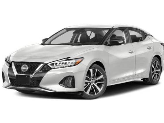 NISSAN MAXIMA 2023 1N4AA6CV7PC512428 image