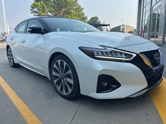 NISSAN MAXIMA 2023 1N4AA6FV7PC501618 image