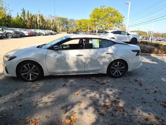 NISSAN MAXIMA 2023 1N4AA6CV3PC512183 image