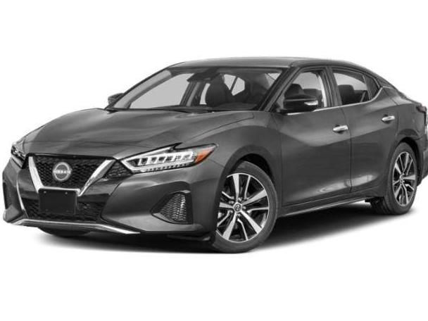 NISSAN MAXIMA 2023 1N4AA6CV5PC509270 image