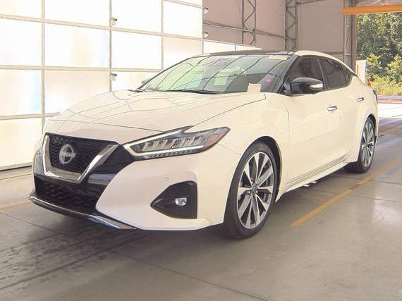 NISSAN MAXIMA 2023 1N4AA6FV0PC514047 image