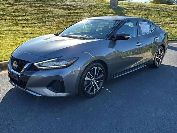 NISSAN MAXIMA 2023 1N4AA6CV7PC511182 image