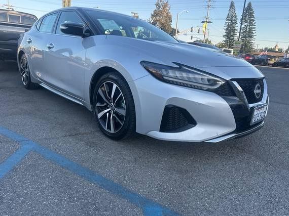 NISSAN MAXIMA 2023 1N4AA6CV6PC511125 image NISSAN MAXIMA 2023 1N4AA6CV6PC511125 image