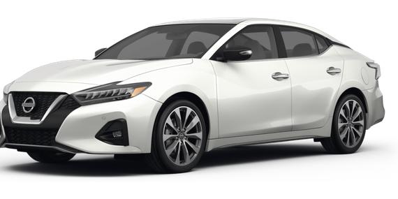 NISSAN MAXIMA 2023 1N4AA6FV0PC501041 image