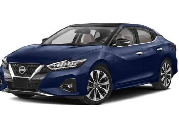 NISSAN MAXIMA 2023 1N4AA6FVXPC506439 image
