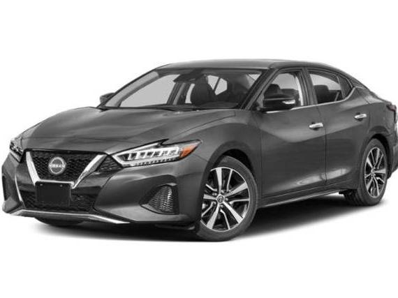 NISSAN MAXIMA 2023 1N4AA6CV7PC509366 image