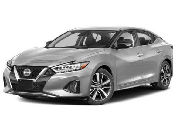 NISSAN MAXIMA 2023 1N4AA6CV7PC511375 image