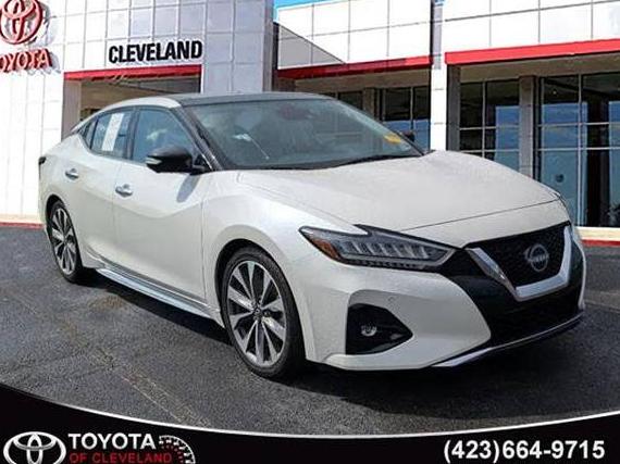 NISSAN MAXIMA 2023 1N4AA6FV3PC512891 image